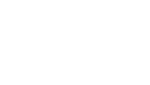 festilab logo arte